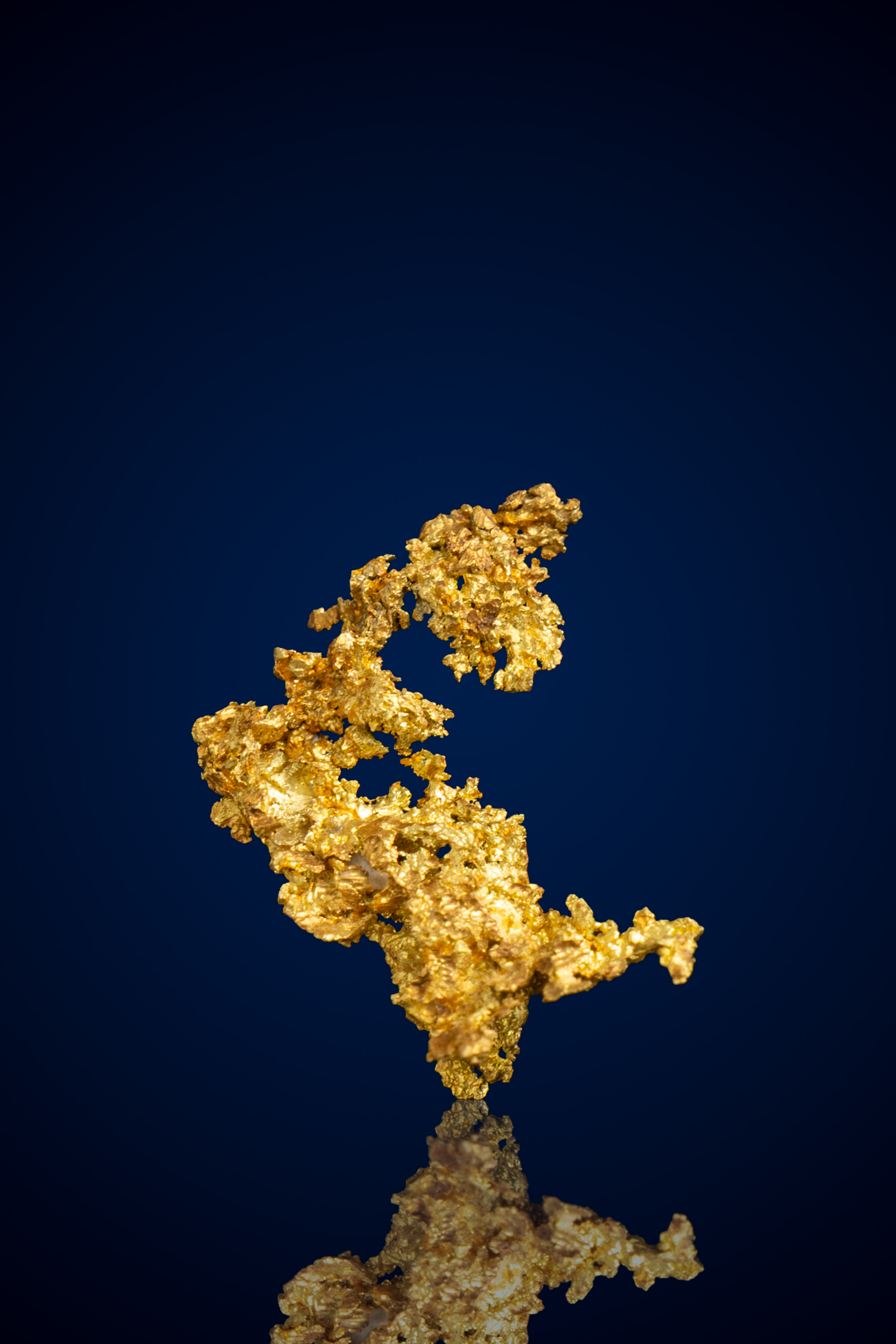 (image for) Unique, Branching Natural Gold Specimen - Oriental Mine, CA - 1.0 grams